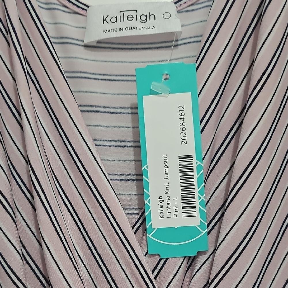 Kaileigh Stitch Fix Striped Sleeveless Jumpsuit in Navy and Pink - Picture 3 of 4